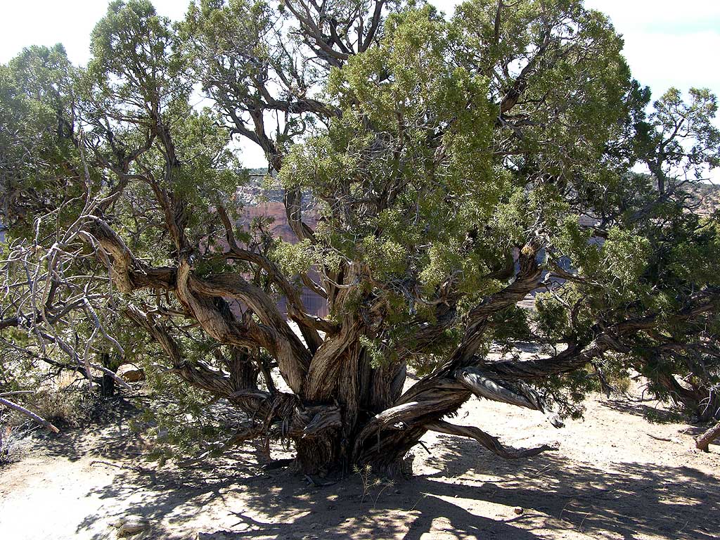 Massacre Cave Overlook