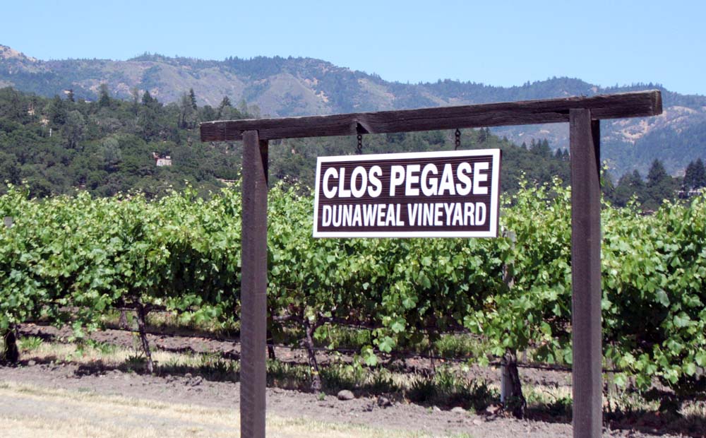 clos pegas winery