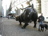 New York Stock Exchange Bull Statue