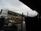 Fulton Fish Market