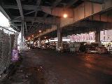 Fulton Fish Market