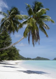 island-picture
